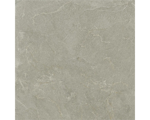 Placă de gresie porțelanată pătrată cu aspect de piatră gri și nervuri discrete.