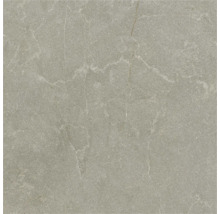 Placă de gresie porțelanată cu aspect de piatră naturală și nervuri fine.