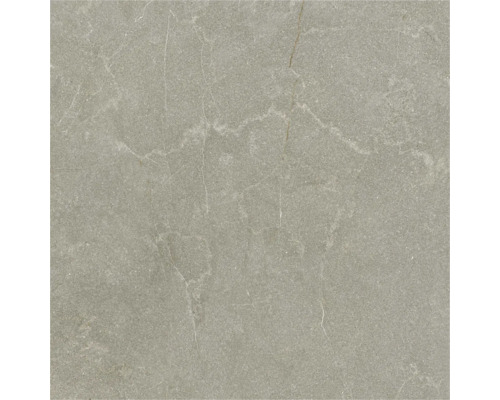 Placă de gresie porțelanată cu aspect de piatră naturală și nervuri fine.