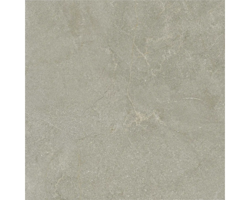 Placă ceramică gri pentru podea sau perete cu aspect de piatră și nervuri subtile.