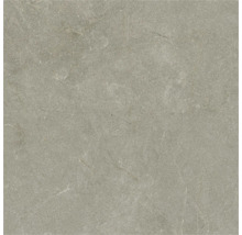 Placă din gresie porțelanată cu aspect de piatră gri cu granulație fină și nervuri deschise.