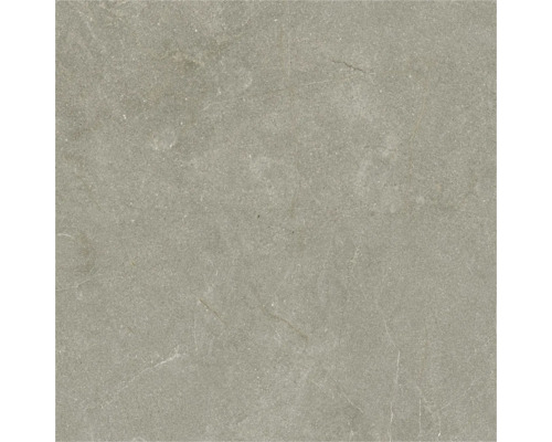 Placă din gresie porțelanată cu aspect de piatră gri cu granulație fină și nervuri deschise.