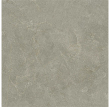 Placă de gresie porțelanată cu aspect de piatră, gri, cu nervuri fine și suprafață structurată.