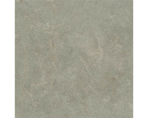 Placă de gresie porțelanată cu aspect de piatră, gri, cu nervuri fine și suprafață structurată.