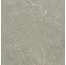 Gresie porțelanată cu aspect de piatră naturală și nervuri subtile.