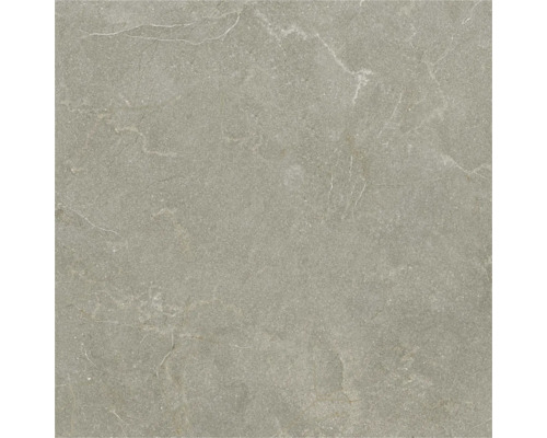 Gresie porțelanată cu aspect de piatră naturală și nervuri subtile.