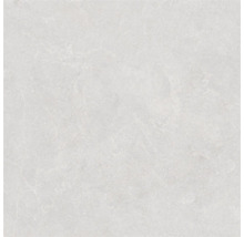 Placă din gresie porțelanată gri deschis cu aspect de piatră, suprafață mată și textură subtilă.