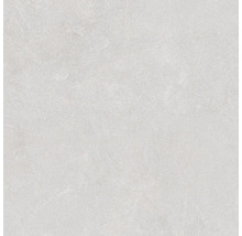 Placă din gresie porțelanată cu aspect de piatră gri deschis și nervuri subtile.