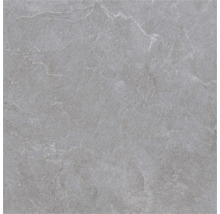 Gresie gri cu aspect de piatră cu nervuri fine și suprafață structurată.