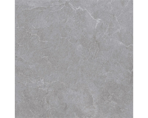 Gresie gri cu aspect de piatră cu nervuri fine și suprafață structurată.