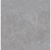 Placă ceramică din gresie porțelanată cu aspect de piatră, mată, gri cu nervuri fine.