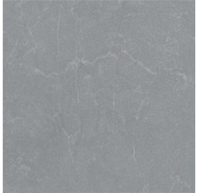 Gresie gri cu aspect de piatră cu nervuri fine.