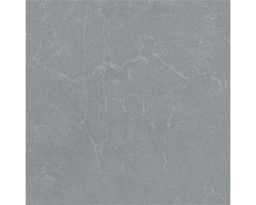 Gresie gri cu aspect de piatră cu nervuri fine.