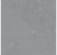 Placă de gresie și faianță pătrată cu aspect de piatră și nervuri fine.