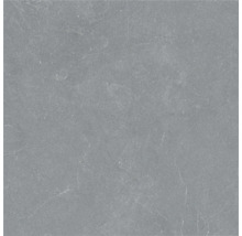 Placă gri din gresie porțelanată cu aspect de piatră, cu nervuri și textură fină.