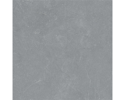 Placă gri din gresie porțelanată cu aspect de piatră, cu nervuri și textură fină.