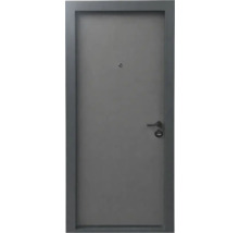 Ușă de intrare din metal de culoare antracit, cu toc, mâner și vizor.