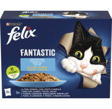 Felix Fantastic hrană pentru pisici cu sortimente de pește în aspic, set de 12