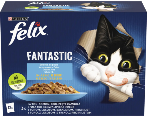 Felix Fantastic hrană pentru pisici cu sortimente de pește în aspic, set de 12