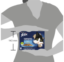 Hrană pentru pisici Felix Fantastic, pachet de 12 bucăți