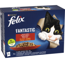 Felix Fantastic hrană pentru pisici, pachet multiplu