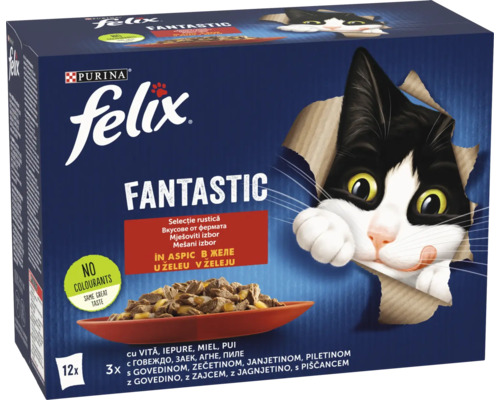 Felix Fantastic hrană pentru pisici, pachet multiplu