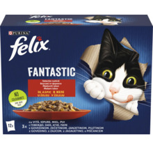 Felix Fantastic hrană pentru pisici, diverse arome în jeleu, set de 12