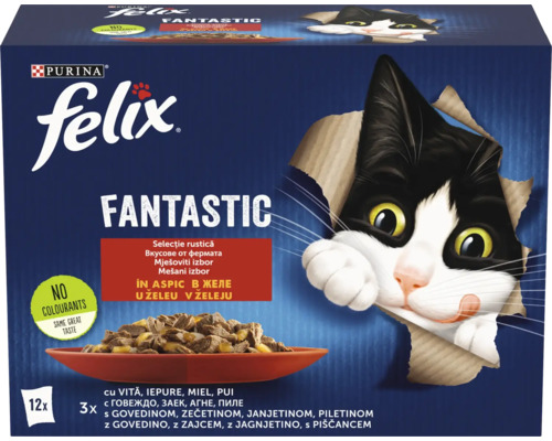 Felix Fantastic hrană pentru pisici, diverse arome în jeleu, set de 12