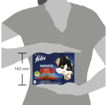 Hrană pentru pisici Felix Fantastic în ambalaj multiplu cu înălțimea de 143 mm