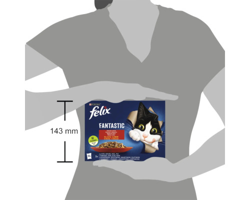 Hrană pentru pisici Felix Fantastic în ambalaj multiplu cu înălțimea de 143 mm