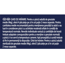 Ghid de hrănire pentru pisici