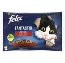 Felix Fantastic hrană pentru pisici, pachet multiplu cu carne în aspic