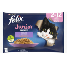 Felix Junior hrană pentru pisici în ambalaj multiplu cu pui și somon