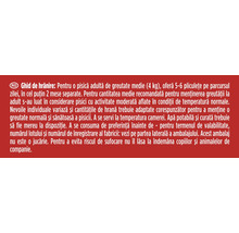 Ghid de hrănire pentru hrană de pisici