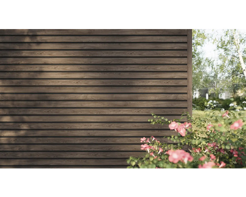 Lambriu de fațadă din lemn închis la culoare cu profil rombic pe un perete exterior într-o grădină luminoasă cu plante.