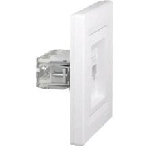 Priză de rețea RJ45 albă pentru montaj sub tencuială, vedere laterală cu placa frontală și modulul de conectare din spate.