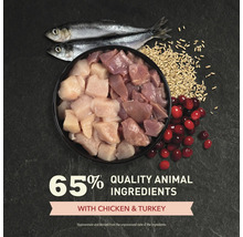 Bucăți proaspete de pui și curcan, doi pești întregi, cereale și merișoare. Text: 65 la sută ingrediente animale de calitate cu pui și curcan.