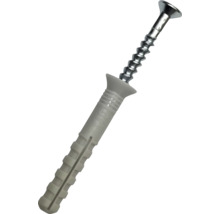 Diblu cu cui gri din plastic cu șurub argintiu din metal cu cap înecat.