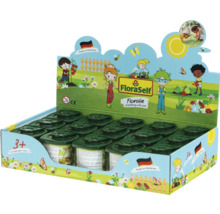 Stand de prezentare FloraSelf Floralie cu cutii cu lupă verzi pentru copii de la 3 ani, fabricat în Germania.