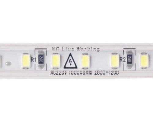 LEDモニタ- DBM-200E-AC 110-220V Bandă LED 100m 230V, lumină caldă | HORNBACH