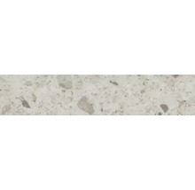 Suprafață de terrazzo cu diverse fragmente de piatră.