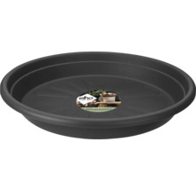 Farfurie rotundă Elho din plastic reciclat în culoarea antracit pentru ghivece.