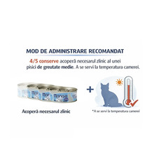 Infografic cu recomandări de hrănire: 4 sau 5 conserve acoperă necesarul zilnic pentru o pisică de greutate medie la temperatura camerei.