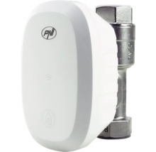 PNI Logo pe un controler de apă inteligent alb din plastic pe o supapă metalică DN20.