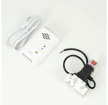 Set detector de gaz compus din senzor alb cu cablu de alimentare și o electrovalvă din metal cu carcasă neagră.