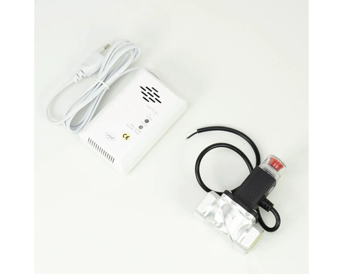 Set detector de gaz compus din senzor alb cu cablu de alimentare și o electrovalvă din metal cu carcasă neagră.