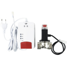 Set detector de gaz PNI cu unitate de detecție, Logo PNI, indicatori de stare, buton de test și electrovalvă metalică cu cablu de conectare.