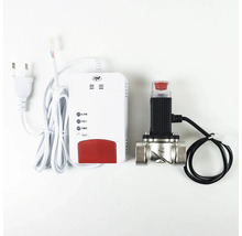 Set detector de gaz PNI cu PNI Logo format dintr o unitate de alarmă albă cu indicatoare și o electrovalvă metalică cu cablu negru.