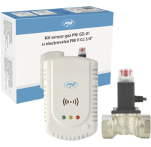 Kit senzor gaz PNI GD-01 și electrovalvă PNI V-02 3/4 inch, incluzând senzorul, valva și ambalajul.