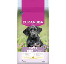 Hrană Eukanuba pentru căței de talie mare și foarte mare, cu pui proaspăt, 15 kilograme, susține creșterea oaselor și capacitatea de învățare.